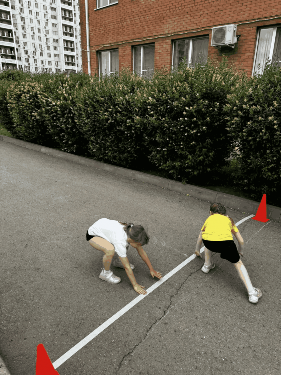 img (5)
